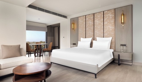 Suite junior, 1 cama doble con sofá cama