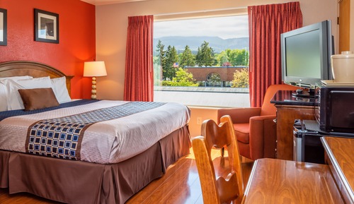 Habitación, vistas a la montaña (King and Twin bed)