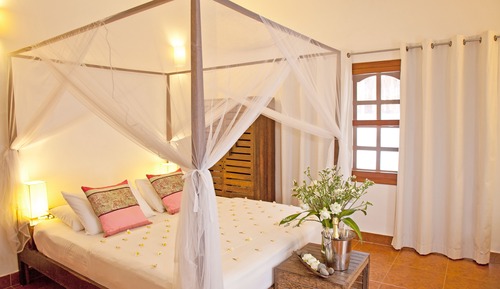 Habitación doble (Adult Only)