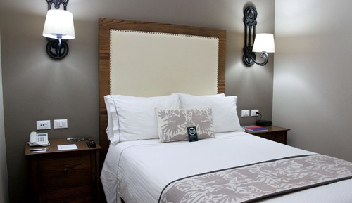 Habitación estándar, 1 cama doble