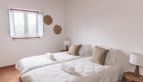 Habitación básica con 2 camas individuales, vistas a la piscina