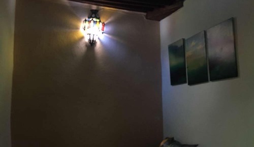 Habitación junior, vistas al parque
