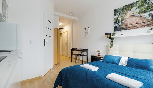 Estudio clásico, 1 cama doble, baño privado