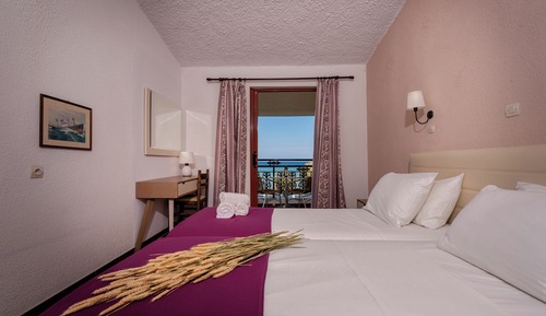 Habitación clásica doble, vistas al jardín