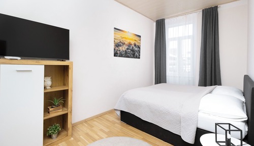 Apartamento, 1 cama de matrimonio con sofá cama