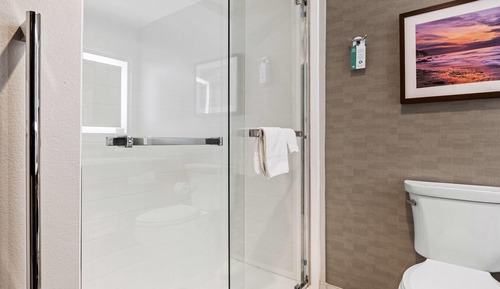 Habitación Deluxe, 1 cama de matrimonio grande, no fumadores (Shower)