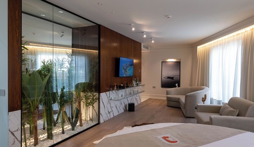 Suite de lujo