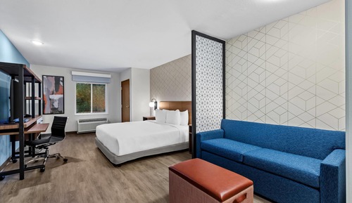 Habitación, 1 cama de matrimonio grande, accesible para personas con discapacidad (Efficiency)