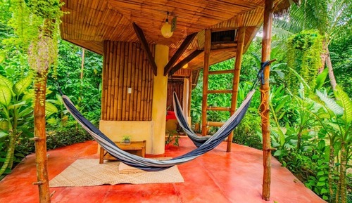 Casa en un árbol, vistas al jardín