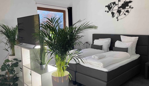 Estudio Deluxe, vistas al lago, junto al lago