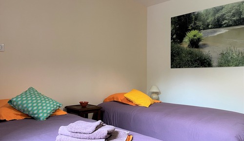 Habitación Confort con 2 camas individuales