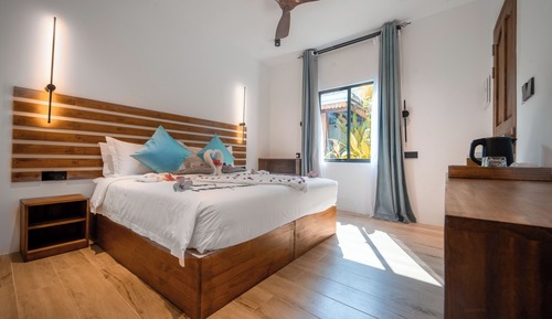 Habitación Deluxe con 1 cama doble o 2 individuales