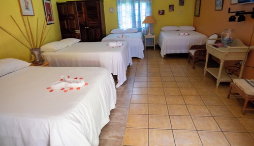 Habitación, varias camas, no fumadores, vistas al jardín