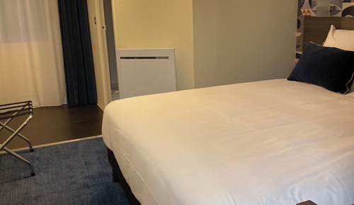 Habitación básica doble, 1 cama doble