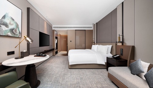 Habitación superior, 1 cama de matrimonio grande, planta ejecutiva