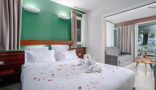 Suite superior, vistas al jardín