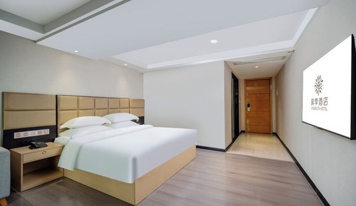 Habitación individual superior
