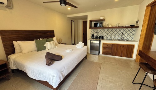 Suite Premium, piscina privada
