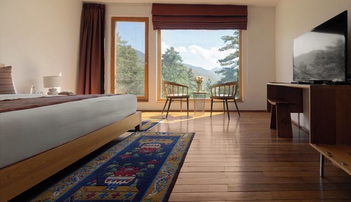 Habitación Deluxe con 1 cama doble o 2 individuales, vistas al jardín