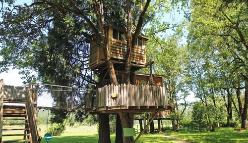 Casa en un árbol