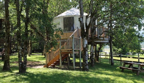 Casa en un árbol