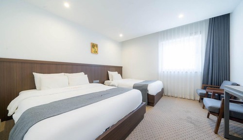 Habitación Deluxe con 2 camas individuales