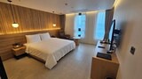 Business Double Room, 1 King Bed, Private Bathroom, City View