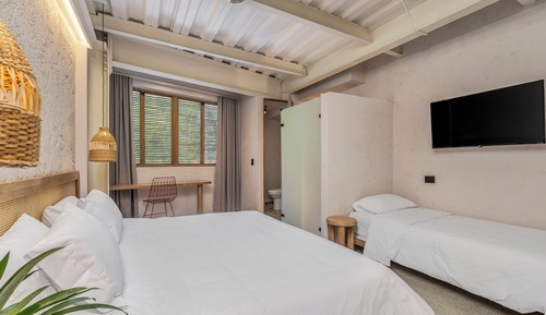 Suite estudio (202)