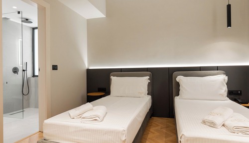 Habitación Deluxe con 2 camas individuales