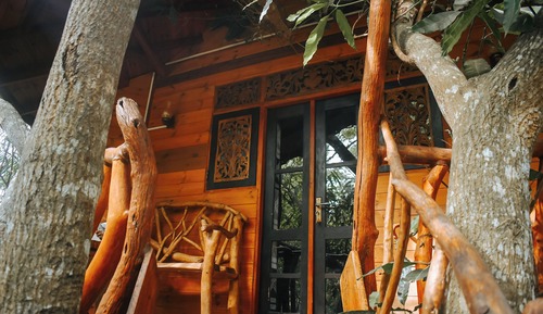 Casa en un árbol