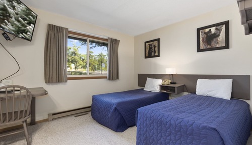 Suite básica, 1 habitación
