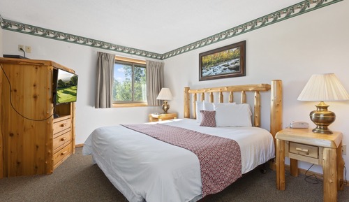 Habitación básica, 1 cama de matrimonio grande