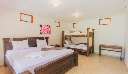 Habitación cuádruple estándar, varias camas, vistas al jardín