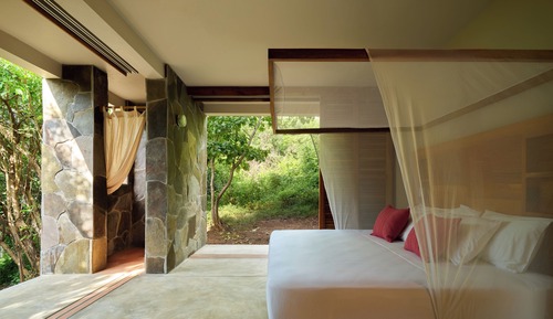 Nature View Room