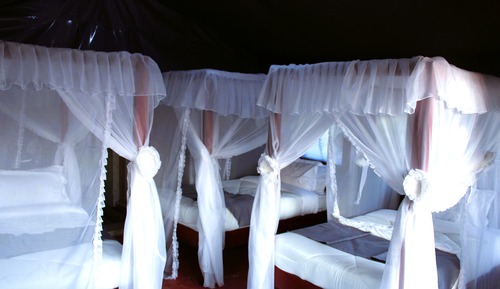 Habitación individual estándar, 1 cama individual grande, no fumadores, planta baja