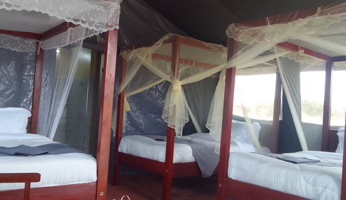 Habitación triple estándar, varias camas, no fumadores, planta baja