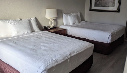 Standard Suite