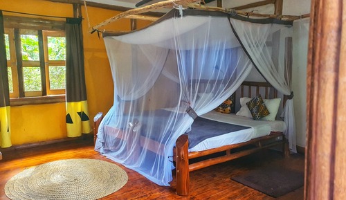 Habitación con 1 cama doble o 2 individuales, vistas al jardín