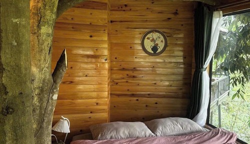 Casa en un árbol Premium