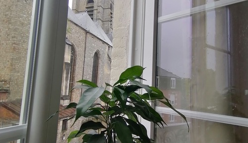 Habitación económica con 1 cama doble o 2 individuales, vistas a la ciudad