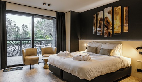 Habitación estándar, vistas al jardín