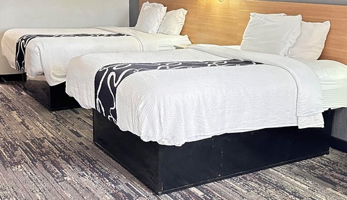 Habitación básica, 2 camas de matrimonio