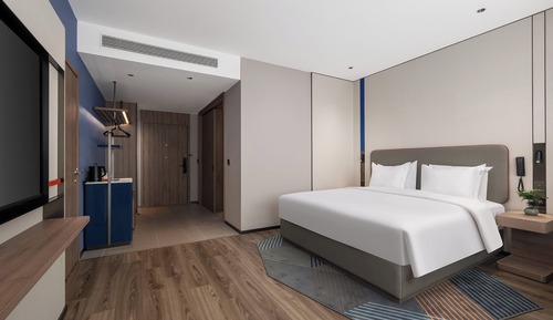Habitación básica, 1 cama de matrimonio grande