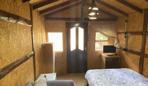 Economy Room, 1 Double Bed