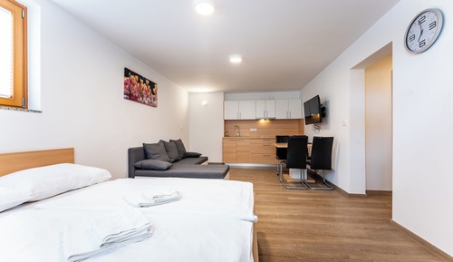 Apartamento, 1 habitación, no fumadores, junto a la montaña