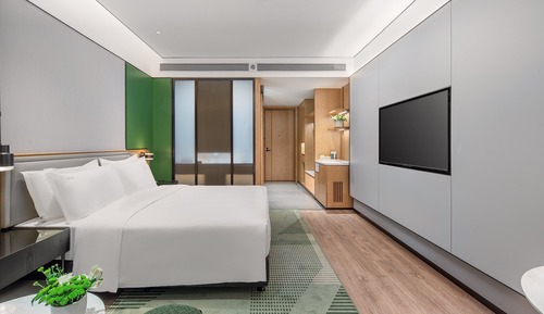 Habitación estándar, 1 cama de matrimonio grande