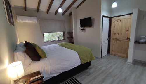 Habitación doble superior, balcón, vistas al jardín