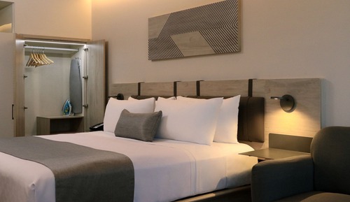 Suite, 1 cama de matrimonio grande con sofá cama