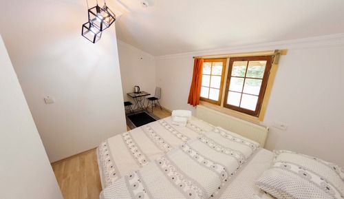 Habitación básica, vistas al jardín