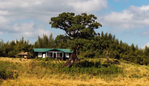 Casa de campo ejecutiva